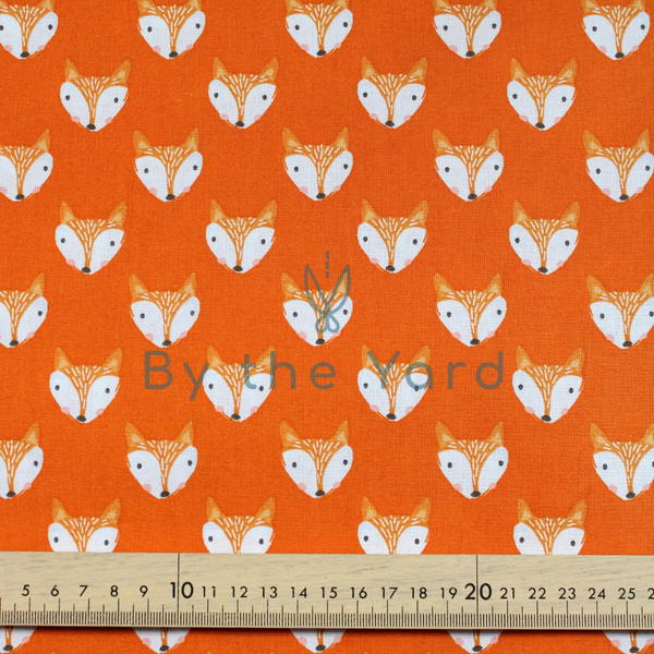 Fox Faces Orange