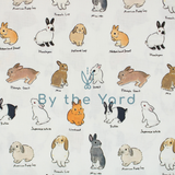 Handmade Fabrics Inc. Bunny Chart