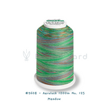 #9608 Meadow - Aerolock 1200m No. 125 (Variegated Overlock Thread)